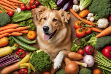 jakie warzywa może jeść pies