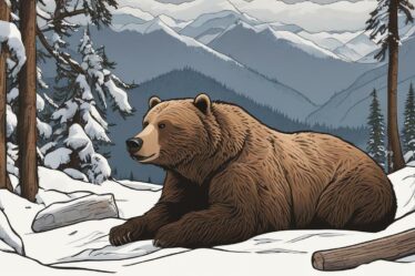 kiedy niedźwiedzie zapadają w sen zimowy