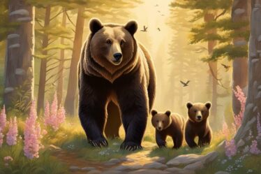 kiedy rodzą się niedźwiedzie