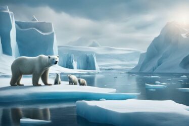 jakie zwierzęta żyją na arktyce